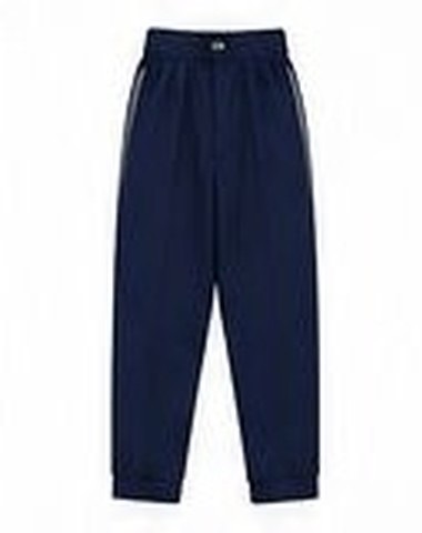 School full pant