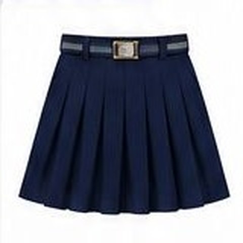 School pleated skirt